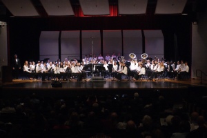 Bay Youth Orchestra of Virginia, Wind Ensemble